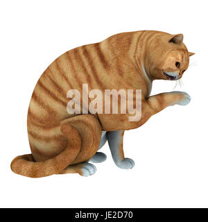 3D digital render of a big red tabby cat isolated on white background Stock Photo