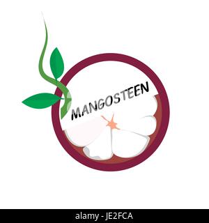Mangosteen Fruit icons flat style, Vector Illustration on white background. Stock Vector
