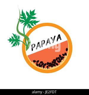 Papaya Fruit icons flat style, Vector Illustration on white background. Stock Vector