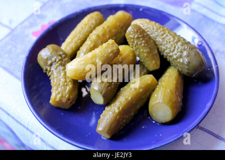 little cucumbers marinaded on the blue plate Stock Photo