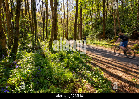 Clare Glen, Co. Armagh, Northern Ireland Stock Photo