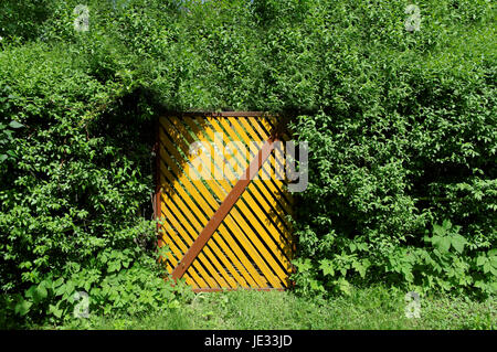 yellow wooden overgrown gate in the bush Stock Photo