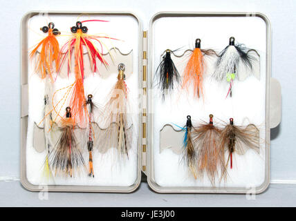 Fishing fly box Stock Photo