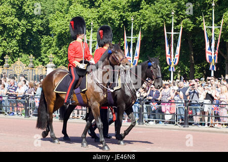 Mounted Officers of the Coldstream Guards, Trooping the Colour Stock Photo