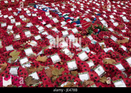 LONDON, ENGLAND - october 12, 2016 Poppy Wreaths and poppies amongst the leaves at the War Memorial on Whitehall London England UK Stock Photo