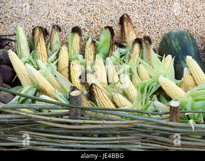 close up corn cobs with other vegetables Stock Photo