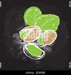 pistachio vector hand draw illustration on black board, sketched pistachio nuts Stock Vector