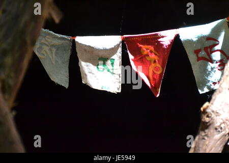 Prayer Flags in the Redwoods Stock Photo