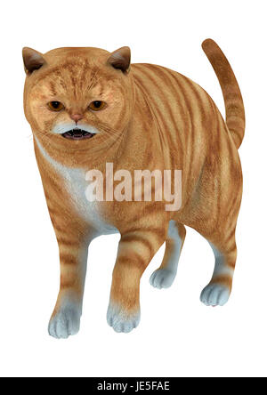 3D digital render of a big red tabby cat isolated on white background Stock Photo