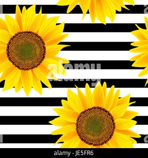 Sunflowers on a striped black and white background. Seamless vector pattern Summer print. For textile, decoration, packing, wrapping, Stock Vector