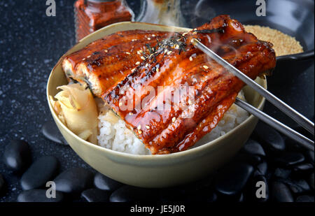 Japanese eel grilled with rice or Unagi don set on plate in Japanese style with studio lighting. Stock Photo