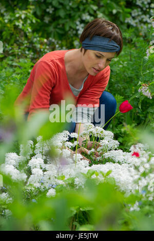 Woman gardening Stock Photo