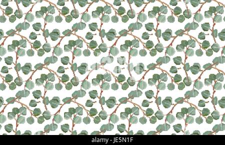 Eucalyptus Silver dollar tree, foliage natural branches with green leaves seeds tropical seamless pattern, watercolor style. Vector decorative beautif Stock Vector