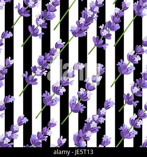 Seamless pattern of provence violet lavender flowers on black stripes. Vector illustration. Stock Vector