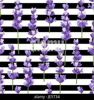 Seamless pattern of provence violet lavender flowers on black stripes. Vector illustration. Stock Vector