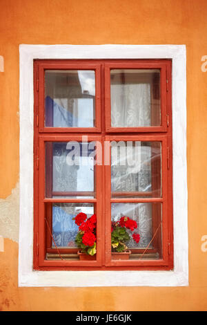 Closed old window with red flowers in orange wall. Stock Photo