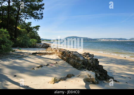 Walking by the Sado river in the Troia peninsula. Portugal Stock Photo