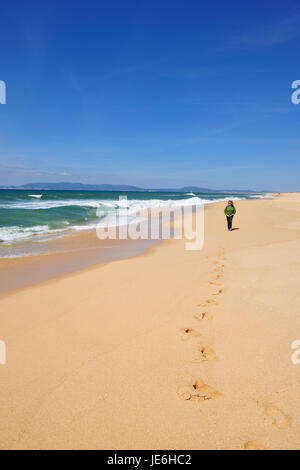 Walking by the Comporta beach in the Troia peninsula. Portugal Stock Photo