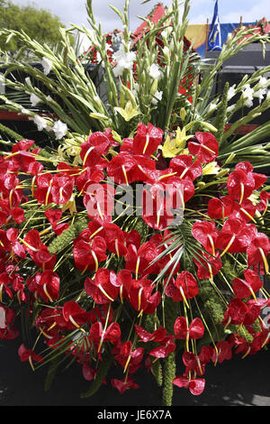 Portugal, Madeira, Funchal, flower feast 'Festa there of Flor', pageant, procession, Stock Photo