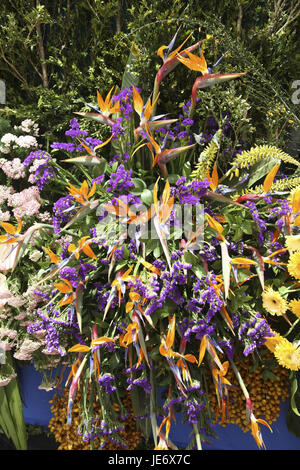Portugal, Madeira, Funchal, flower feast 'Festa there of Flor', pageant, procession, Stock Photo