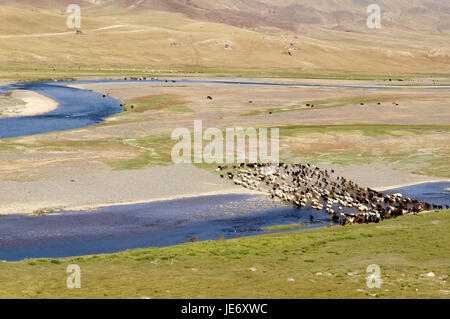 Mongolia, Central Asia, Ovorkhangai province, historical Orkhon valley, UNESCO world heritage, Orkhon flux, flock of sheep, pasture, Stock Photo