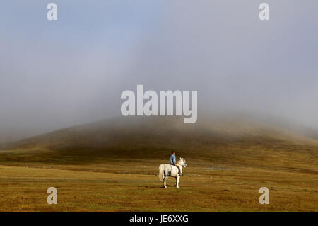 Mongolia, Central Asia, Arkhangai province, boy on white horse, scenery, fog, Stock Photo