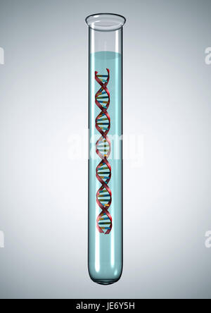 DNA HELIX - alpha doubles helix DNA, Stock Photo