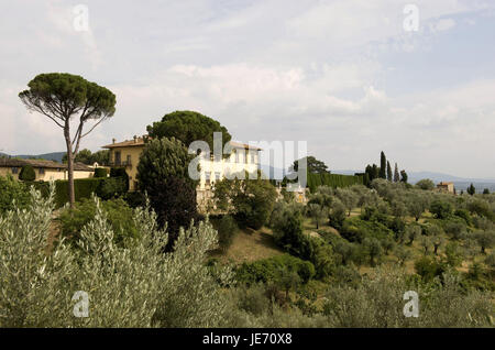 Italy, Tuscany, region Florence, villa Gamberaia, Stock Photo