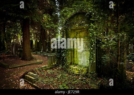 Germany, Hamburg, village Ohls, cemetery, tomb, runs wild, in 1883, burial ground, recollection, cemetery, memory, memory cemetery, faith, tomb, nobody, main cemetery, hope, Jewish, nature, park, park, park cemetery, religion, rest, death, old, offences, transitoriness, quietly, Hamburg-Ohlsdorf, Stock Photo