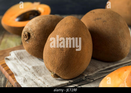 Raw Organic Brown Mamey Fruit with a Brown Seed Stock Photo