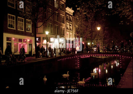 Holland, the Netherlands, Amsterdam, red light area, swans on the water, Stock Photo