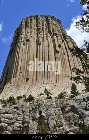 Devil's Tower Stock Photo