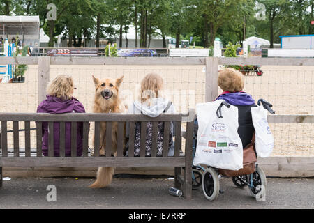 Edinburgh, Scotland, UK. 22nd June, 2017. not everyone was interested in the show jumping at the Royal Highland Show! Credit: Kay Roxby/Alamy Live News Stock Photo