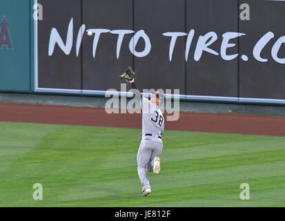 Anaheim, California, USA. 14th June, 2017. Rob Refsnyder (Yankees) MLB, Rob Refsnyder of the New York Yankees during the Major League Baseball game against the Los Angeles Angels of Anaheim at Angel Stadium of Anaheim in Anaheim, California, United States . Credit: AFLO/Alamy Live News Stock Photo