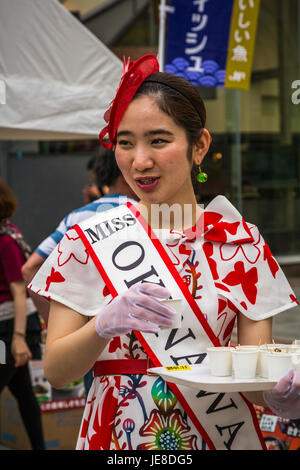 Beautiful Young Japanese Girl Okinawa Stock Photo 2017564004