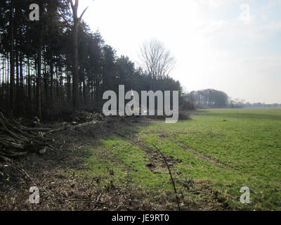 This photograph captures tree felling activities in St. Leon-Rot ...