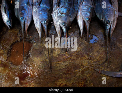 2013 03 16 Somalia Fishing e (8571826320 Stock Photo - Alamy