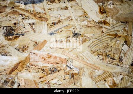 Multicolored plywood sheet Stock Photo