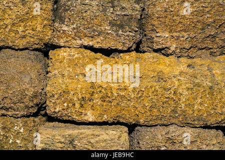 Texture of seashell bricks Stock Photo