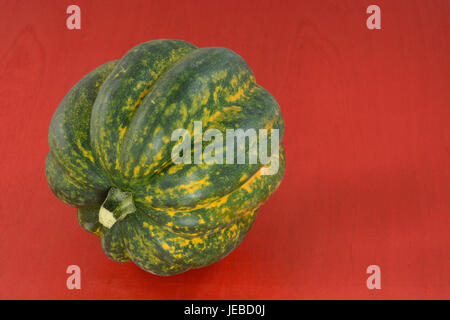 One raw whole acorn squash on red wood table background Stock Photo