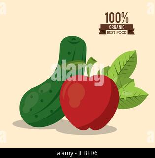 colorful poster of organic best food with cucumber and apple Stock Vector