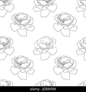 Beautiful black and white seamless pattern with roses. Sketch style monochrome flowers background. Blossom texture. Stock Vector