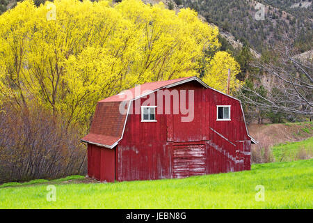 An old red barn against willow trees which are just beginning to leaf out in spring. Stock Photo