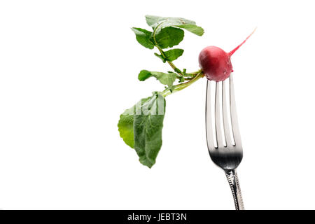 fresh radish on fork isolated on white. healthy lifestyle concept Stock Photo