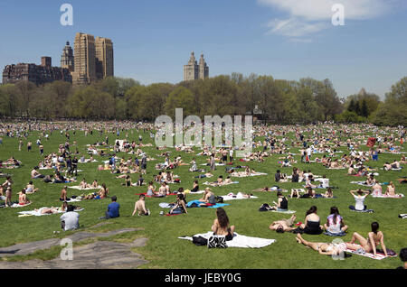 The USA, America, New York, Manhattan, Central park, person with the sunbathing,