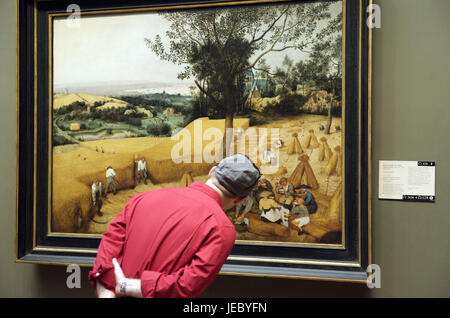 The USA, America, New York, Manhattan, East Side, Metropolitan Museum of Art, visitor before a painting of Brügel, Stock Photo