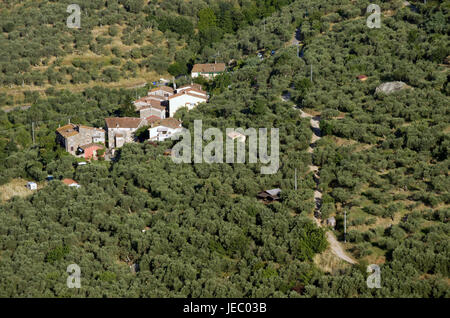 Italy, Tuscany, Monte Pisano, Buti, houses and wood, Stock Photo