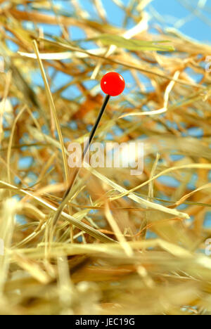 Needle in a haystack Stock Photo