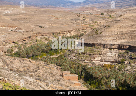 Green rock canyon of Ghouffi in the Aures Mountains, Algeria, Africa ...