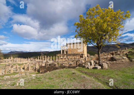 The Roman ruins of Djémila, UNESCO-world cultural heritage, Algeria, Africa, Stock Photo